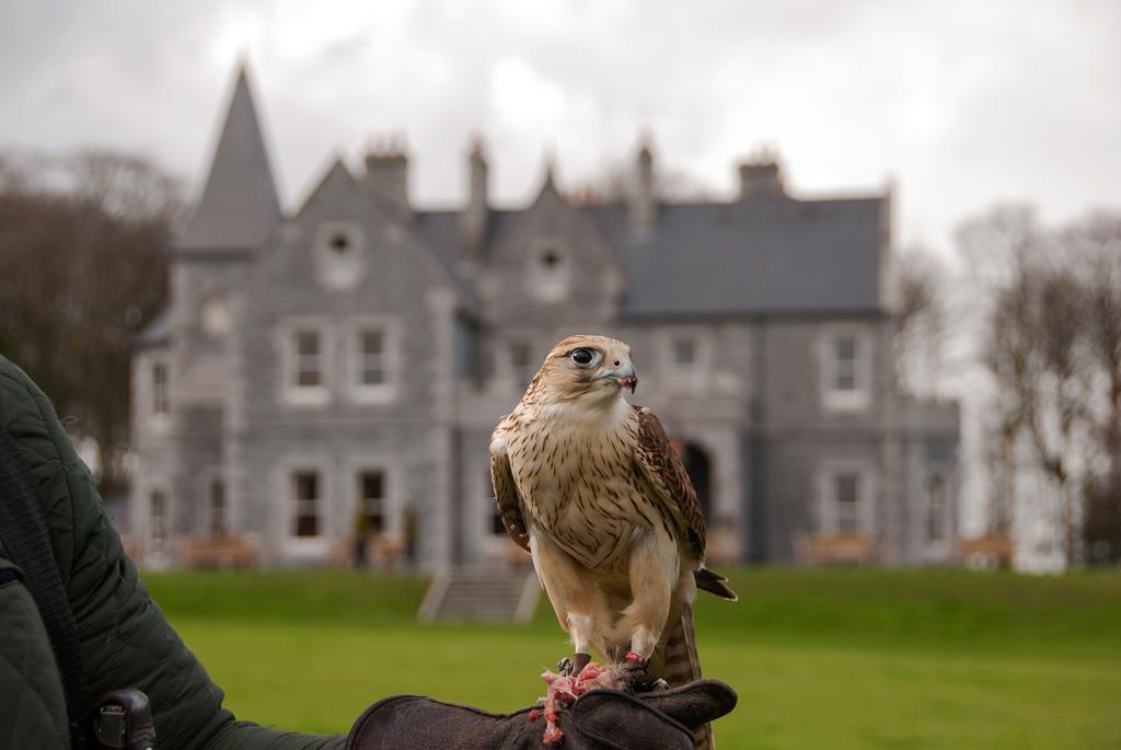 Mount Falcon Estate Ballina  Exteriér fotografie