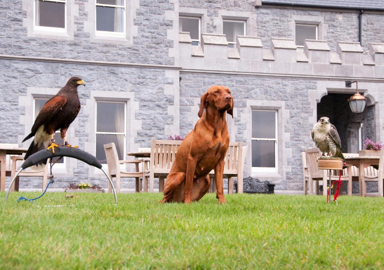 Mount Falcon Estate Ballina  Exteriér fotografie